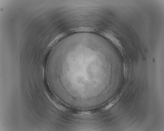 X0000078290157200611251452