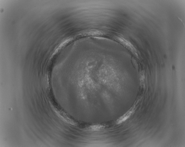 X0000078290158200611251452