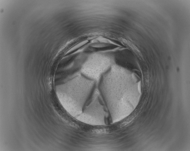 X0000078290160200611251452