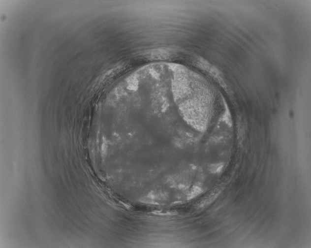 X0000078290161200611251452