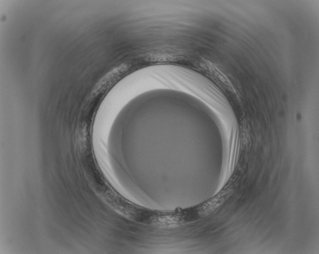 X0000078290163200611251452