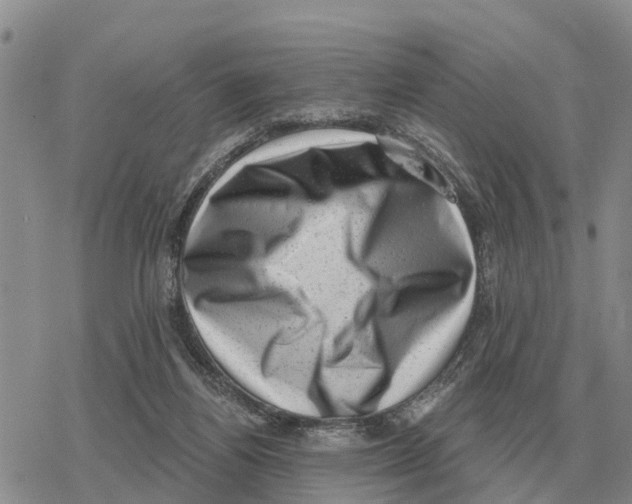 X0000078290164200611251452