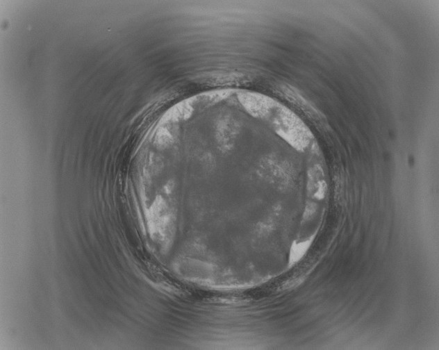 X0000078290165200611251452