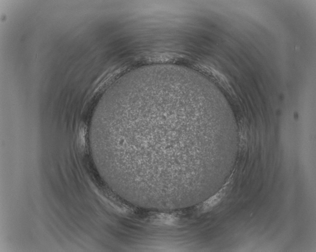 X0000078290166200611251452