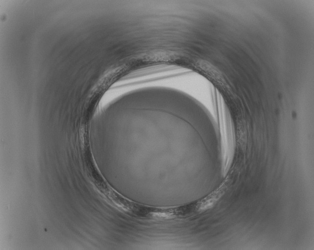 X0000078290167200611251452