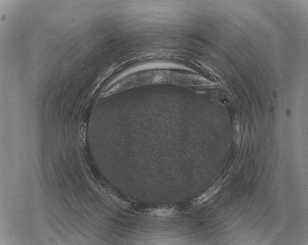 X0000078290168200611251452