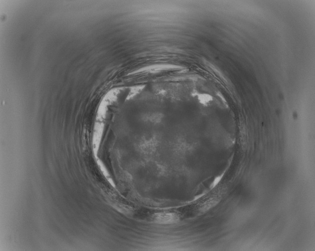 X0000078290169200611251452