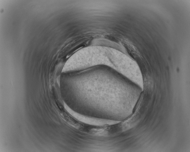 X0000078290170200611251452