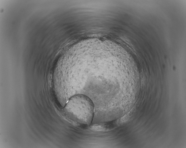 X0000078290171200611251452