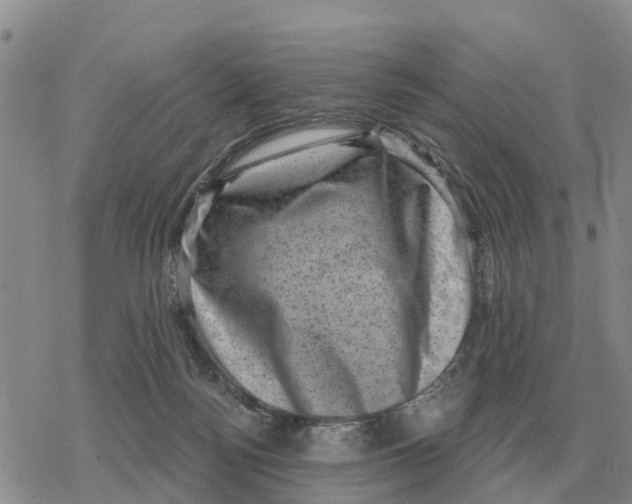 X0000078290172200611251452