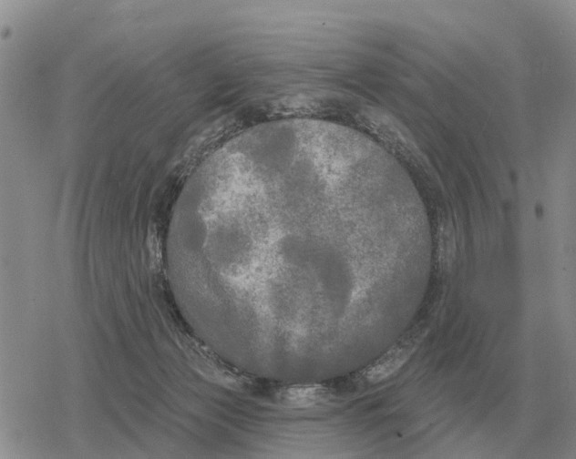 X0000078290173200611251452