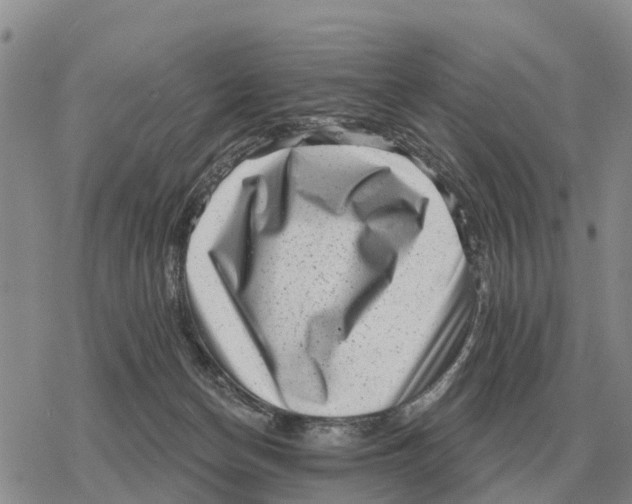 X0000078290174200611251452