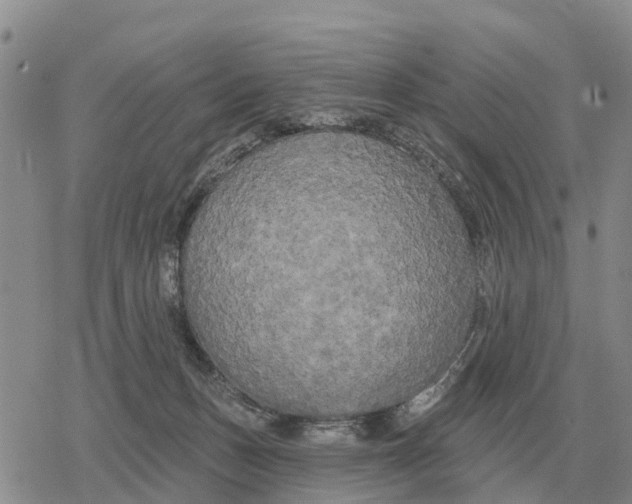 X0000078290175200611251452