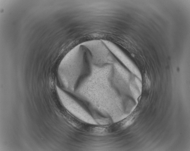 X0000078290176200611251452