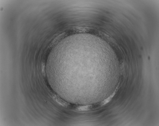 X0000078290178200611251452