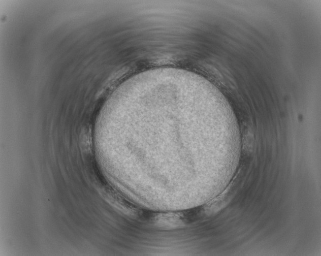 X0000078290179200611251452