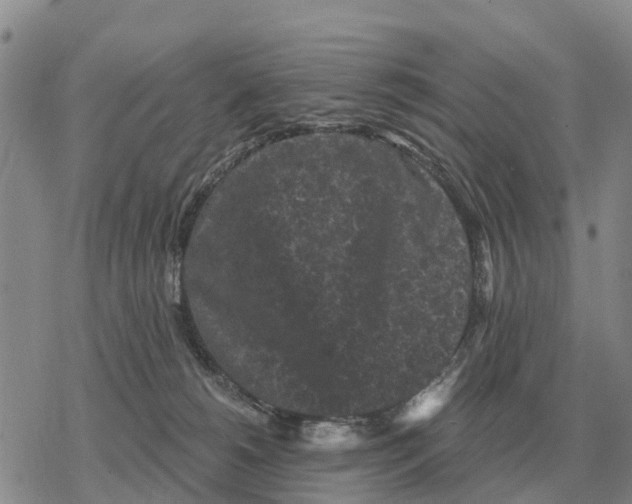 X0000078290180200611251452