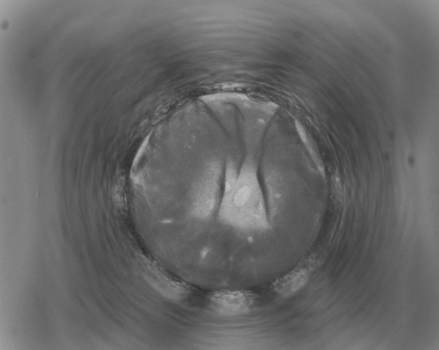 X0000078290181200611251452