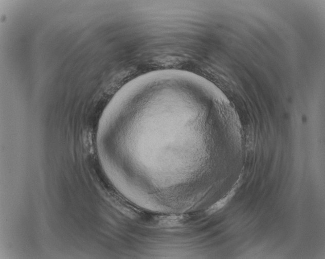 X0000078290182200611251452