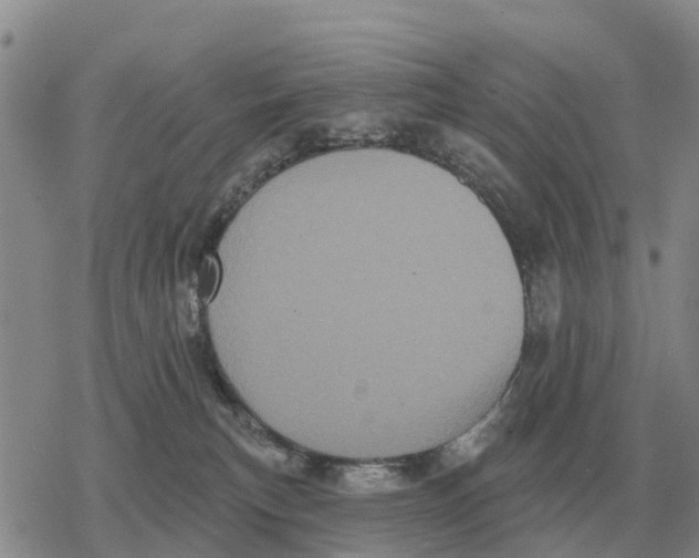 X0000078290183200611251452