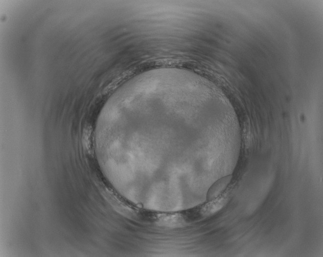 X0000078290185200611251452