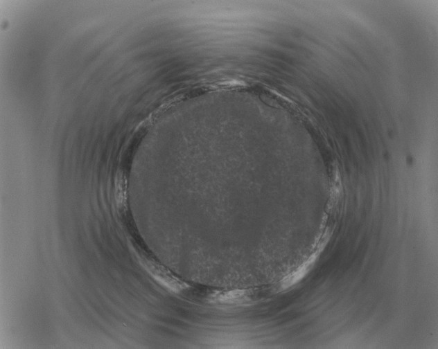 X0000078290186200611251452