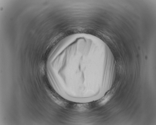 X0000078290188200611251452