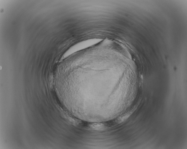 X0000078290189200611251452