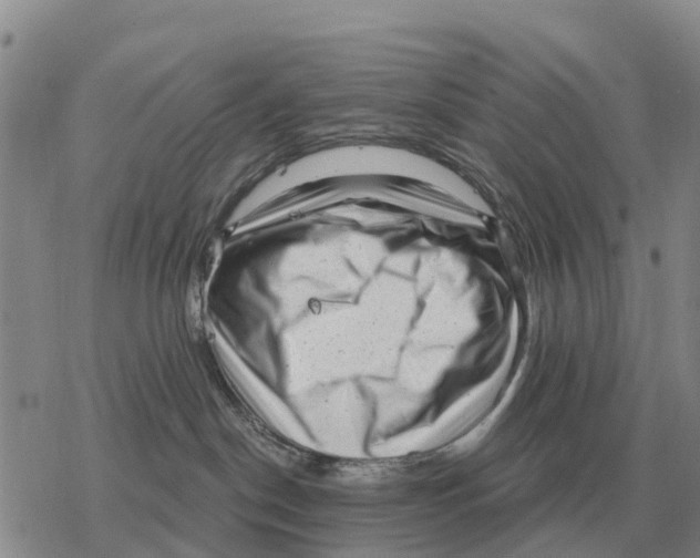 X0000078290190200611251452