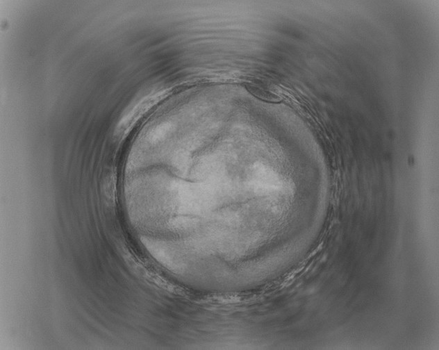 X0000078290194200611251451