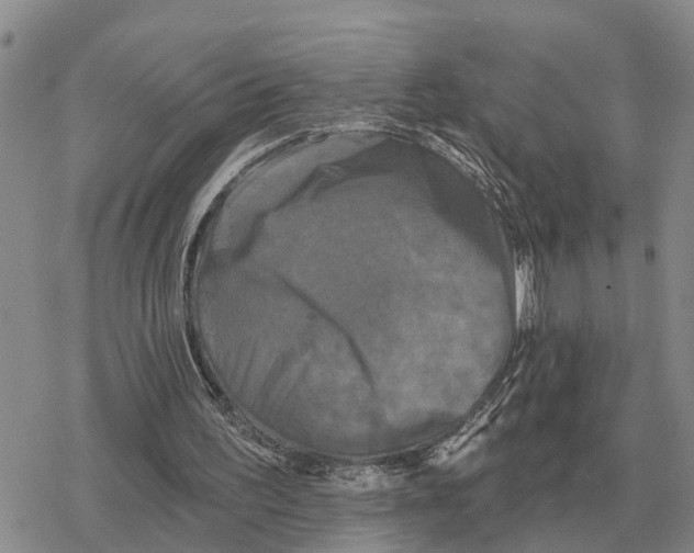 X0000078290195200611251451