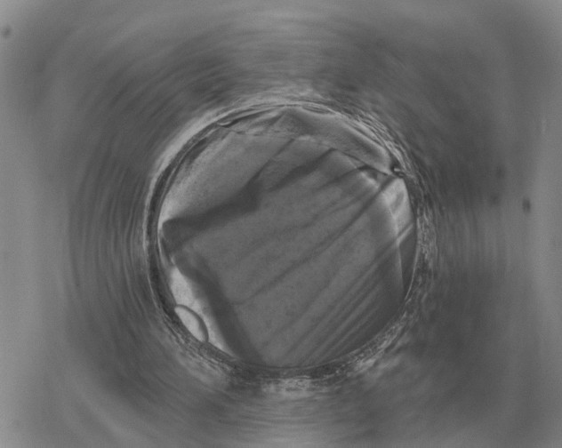 X0000078290196200611251451