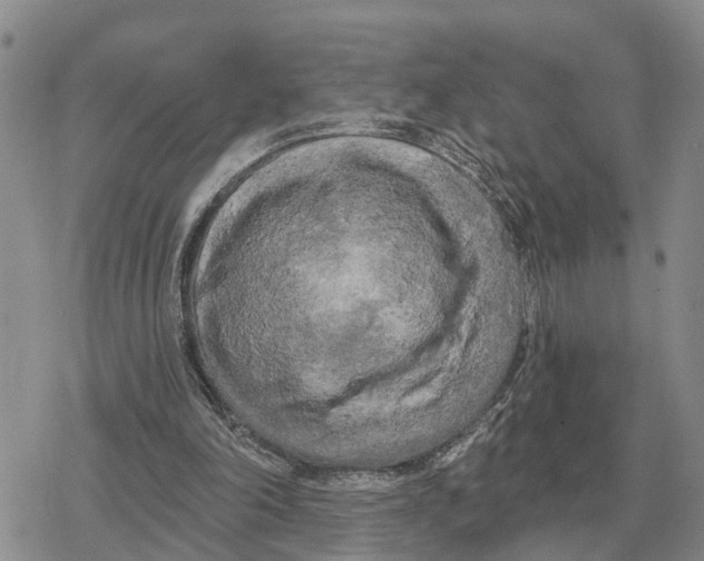 X0000078290198200611251451