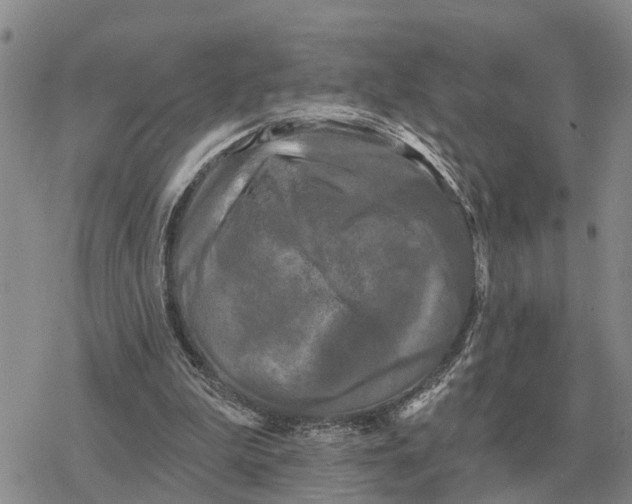 X0000078290199200611251451