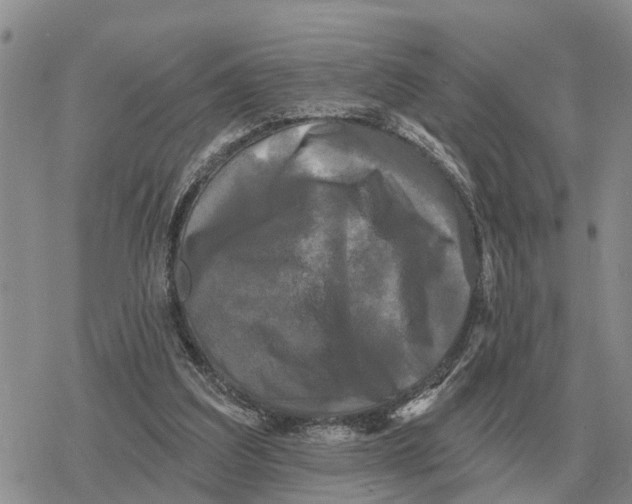 X0000078290203200611251451