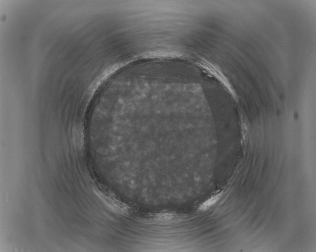 X0000078290204200611251451