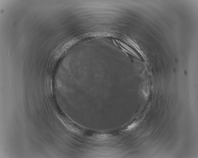 X0000078290205200611251451