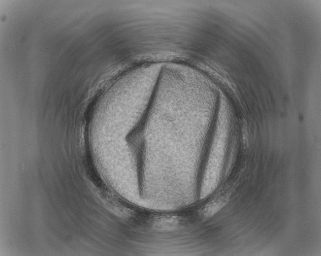 X0000078290206200611251451