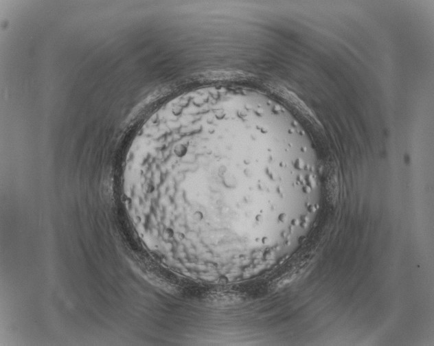 X0000078290207200611251451