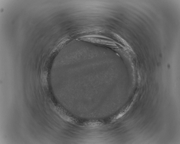 X0000078290209200611251451