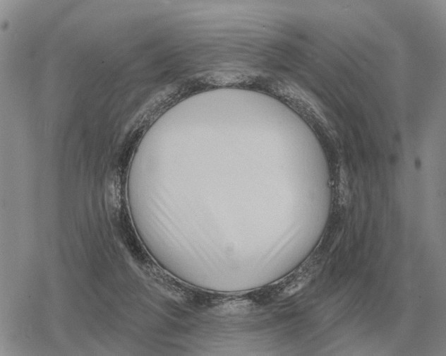 X0000078290210200611251451