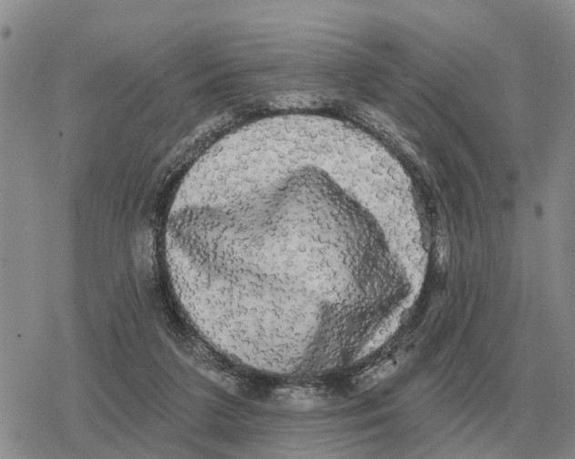 X0000078290211200611251451