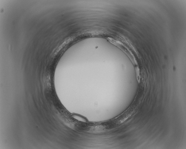 X0000078290212200611251451