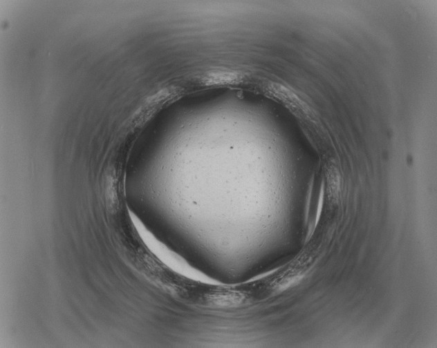 X0000078290215200611251451