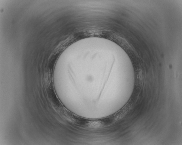 X0000078290218200611251451