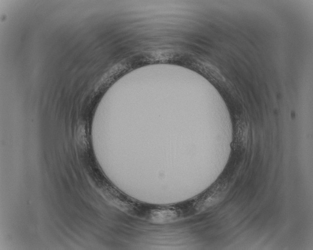 X0000078290220200611251451