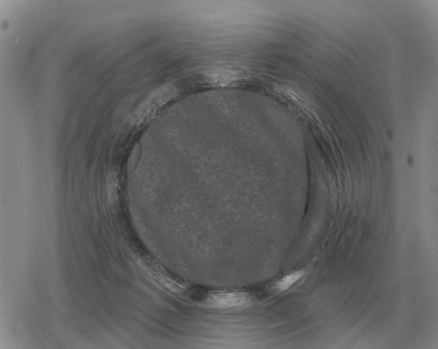 X0000078290221200611251451