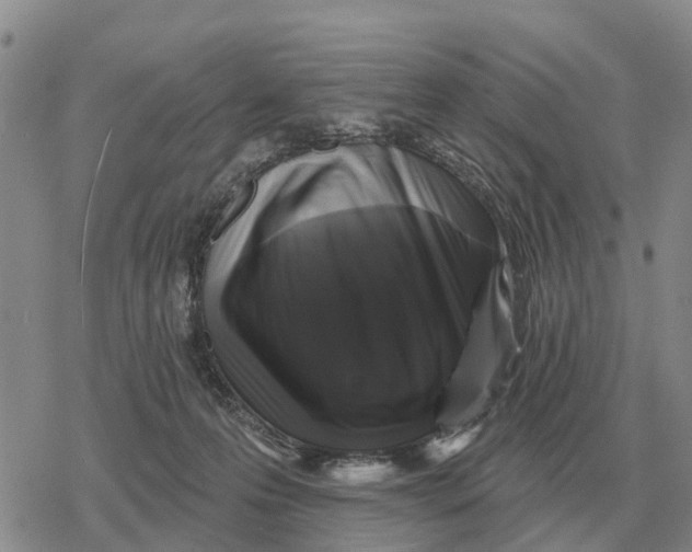 X0000078290223200611251451