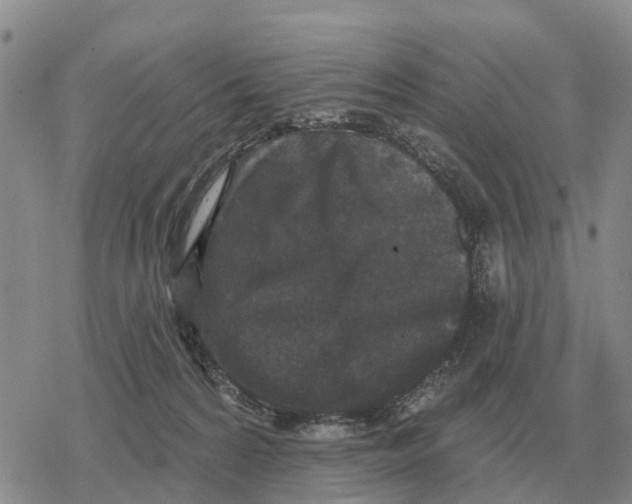 X0000078290224200611251451