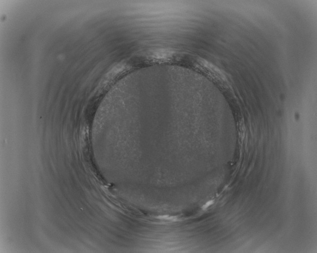 X0000078290225200611251451